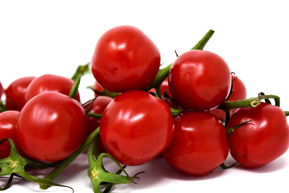 Tomates cerises maison