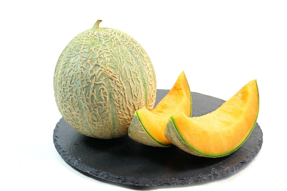 Melon charentais