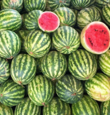 Mini pastèque