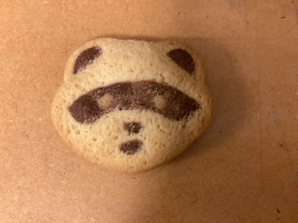 Biscuit raton laveur choco/noisettes