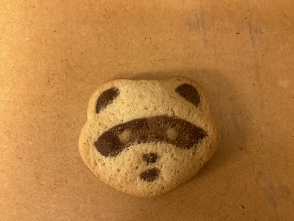 Biscuit raton laveur choco/noisettes