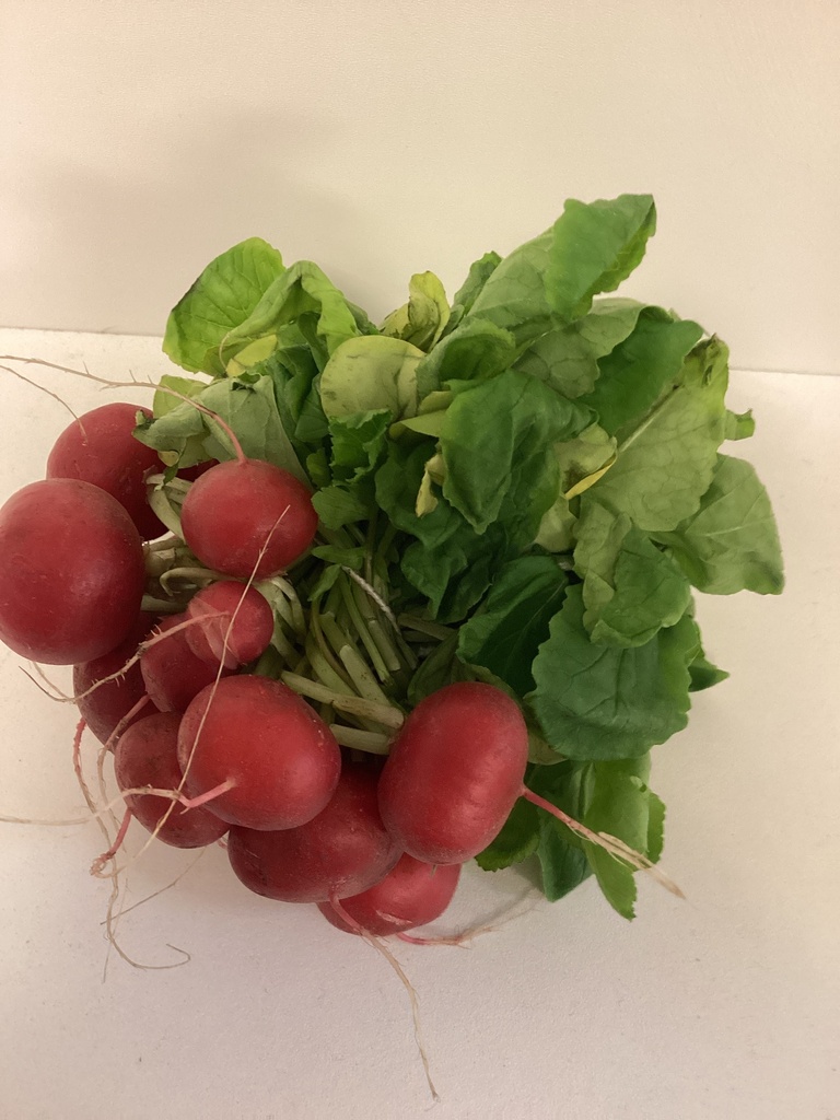 Radis en botte (maison)