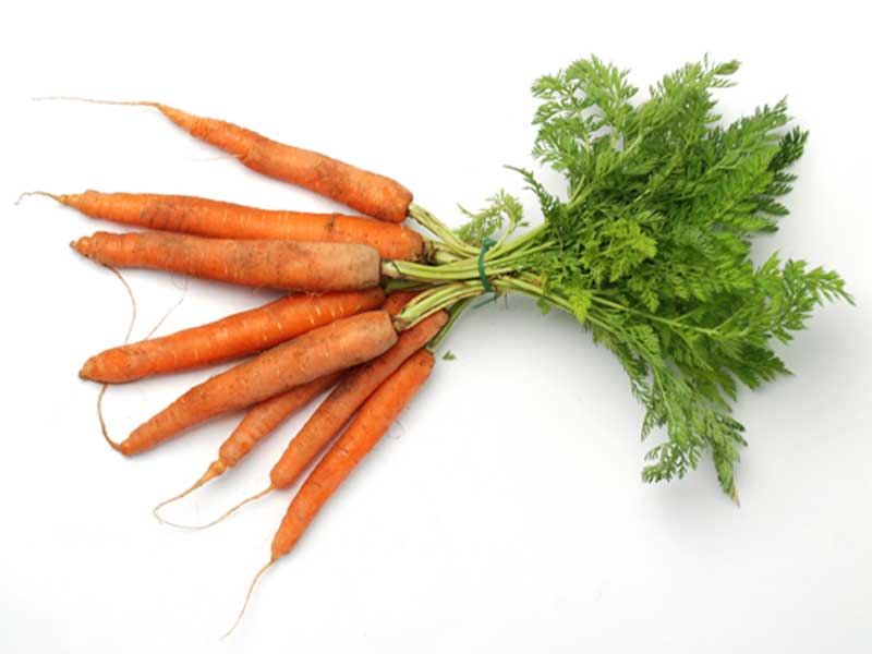 Carottes bottes
