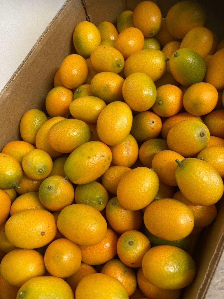 Kumquat