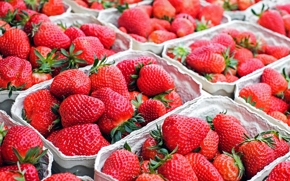 Fraises pour confiture
