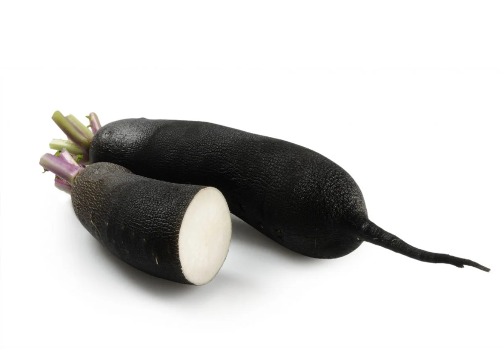 Radis noir 