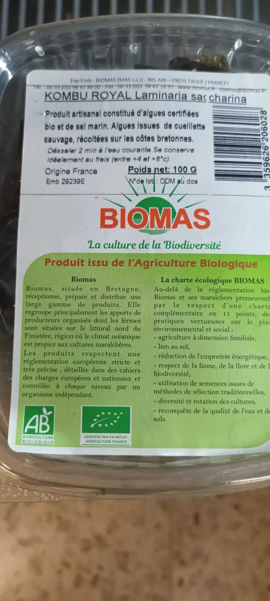 Kombu royal (saccharina latissima ) algues brunes