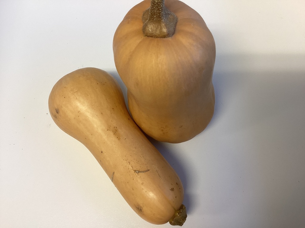 Butternut