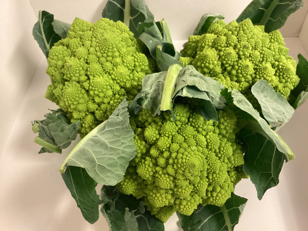 Chou romanesco