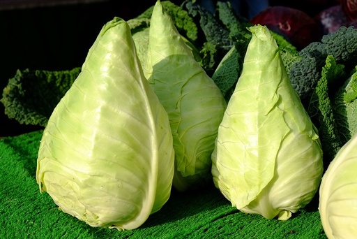 Chou pointu maison