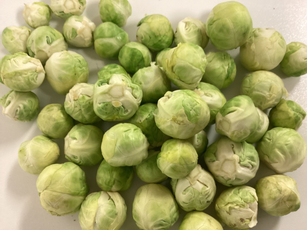 Chou de Bruxelles