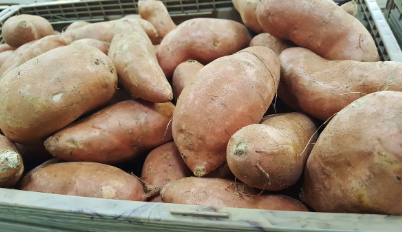 Patates douces