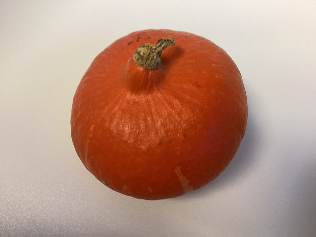 Potimarron