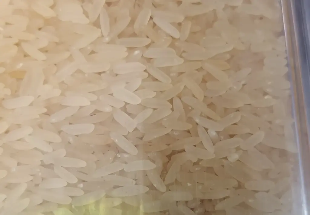 Riz long blanc