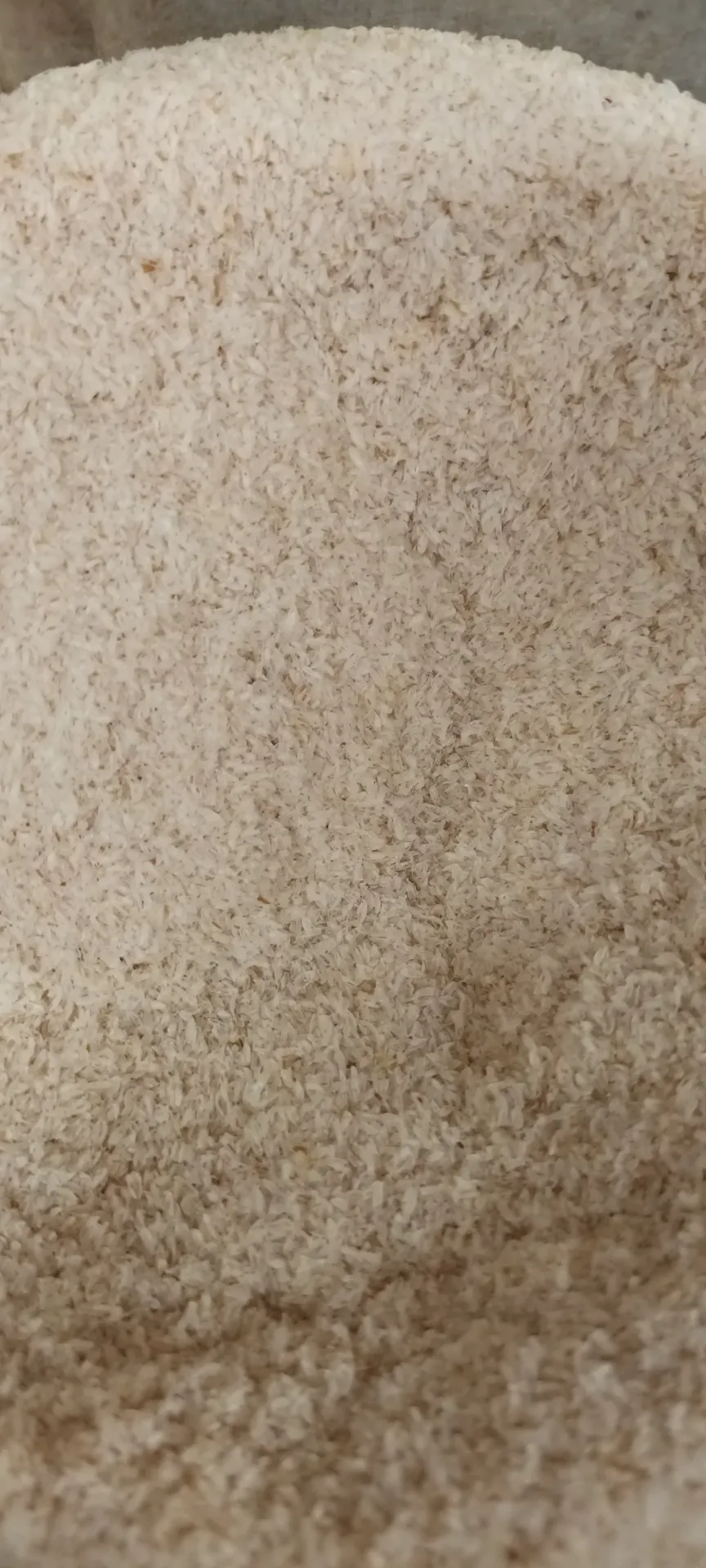 fibres de psyllium en poudre vrac