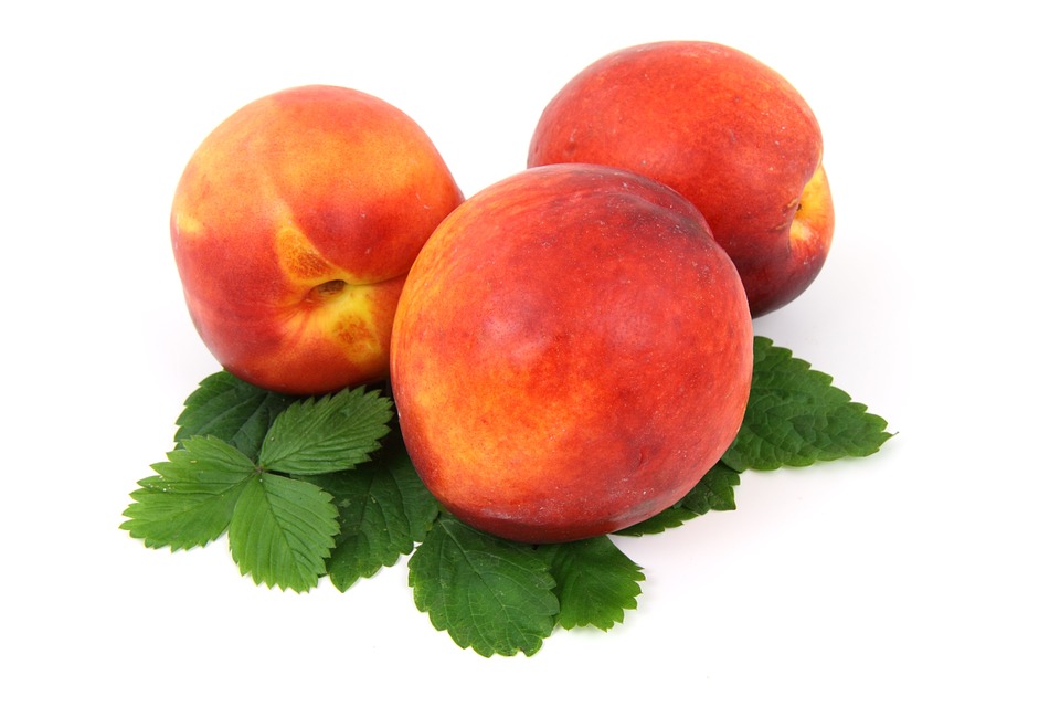 Nectarines plates