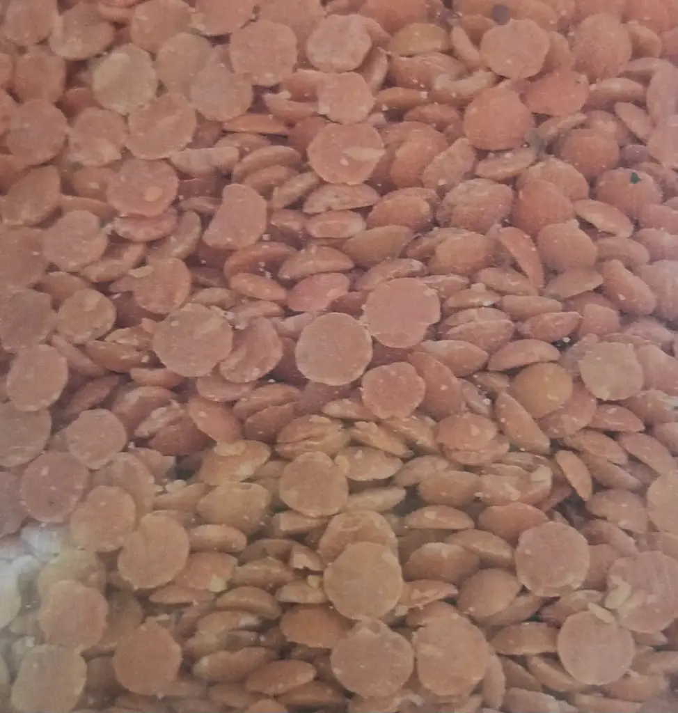 Lentilles corail