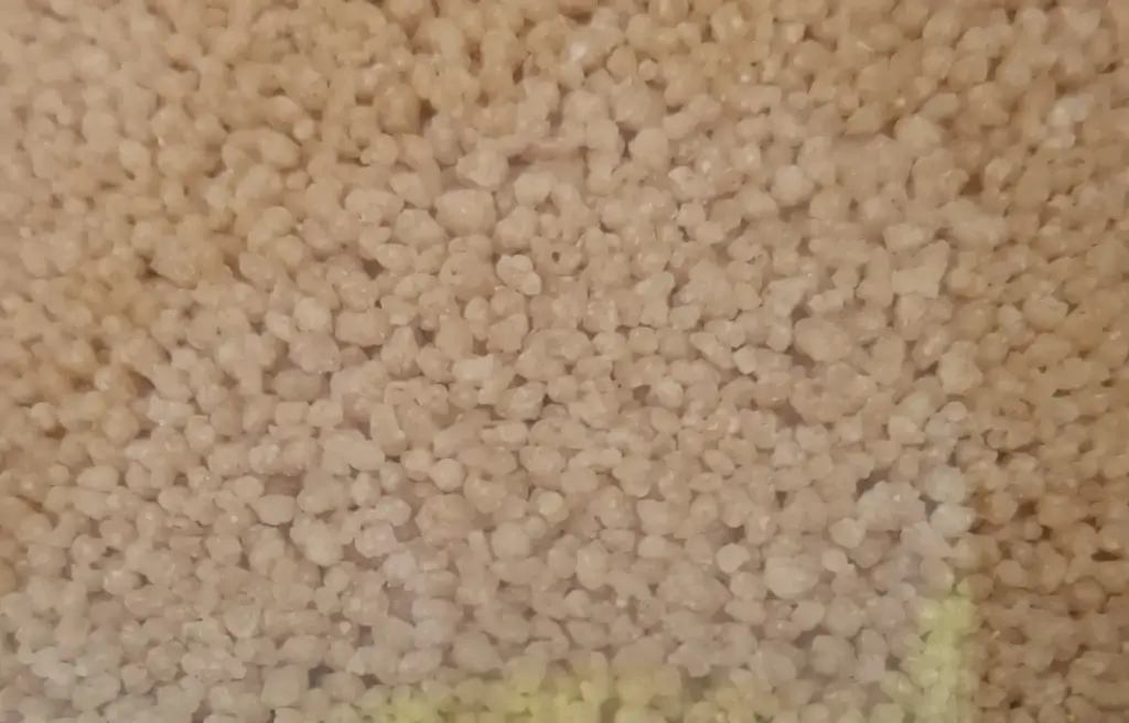 Couscous complet