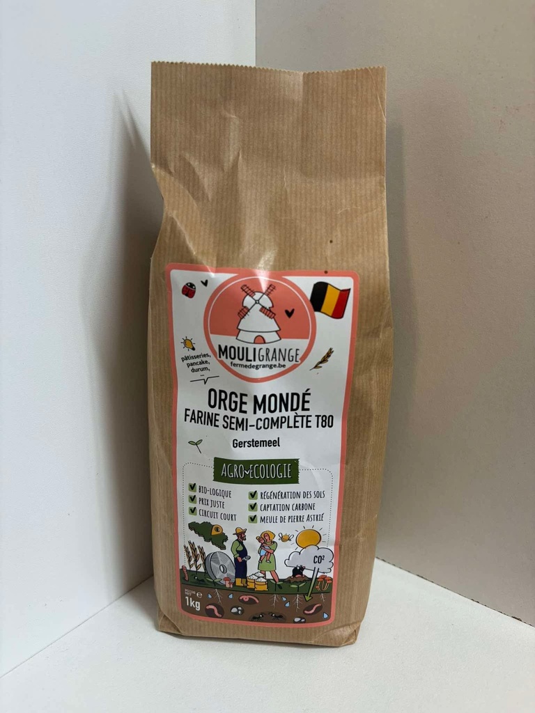 Terrasana herbe d'orge en poudre 130g