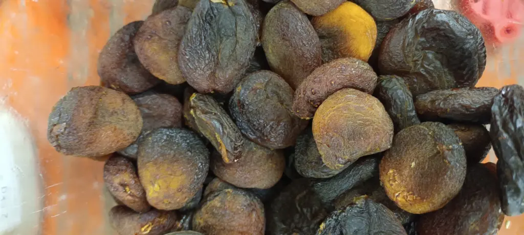 Abricots séchés