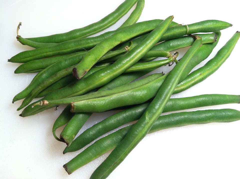 Haricots verts