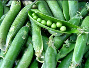 Petits pois à écosser
