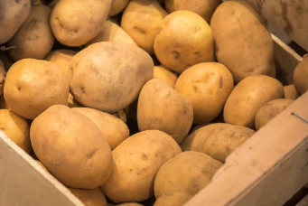 Pommes de terre fermes