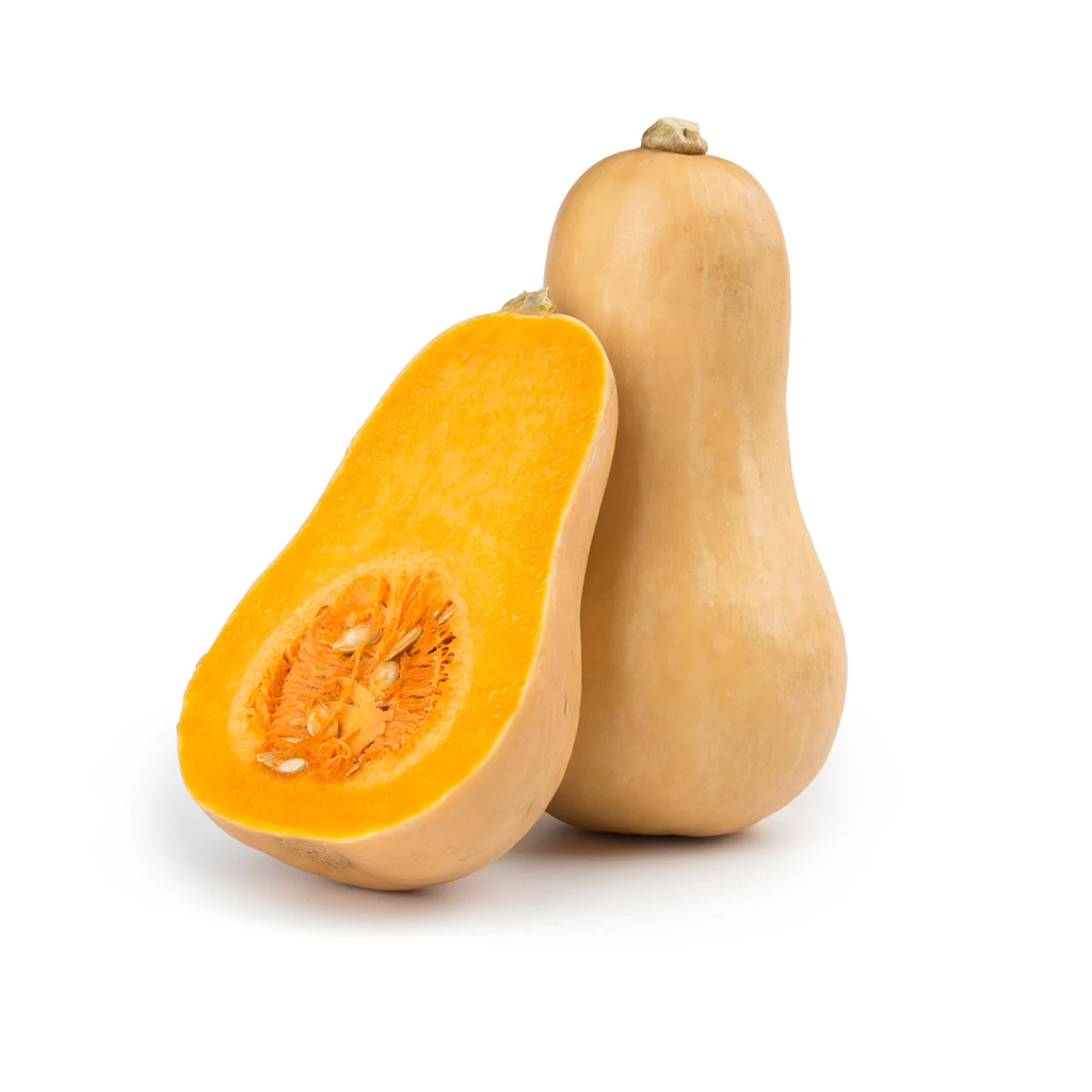 Butternut
