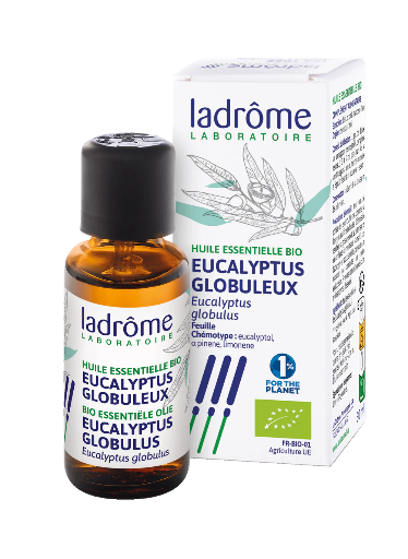 HE Eucalyptus globuleux 50ml