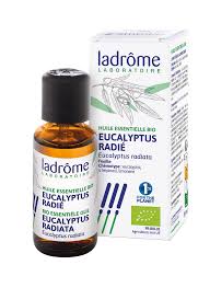 HE Eucalyptus radié 10ml