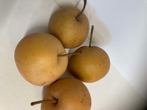 Poire nashi
