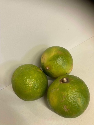 Bergamote
