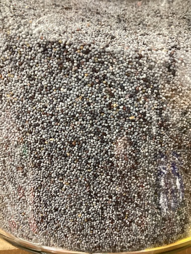 Graines de pavot