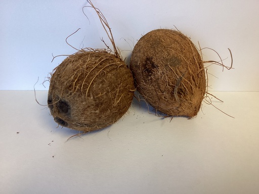 Noix de coco