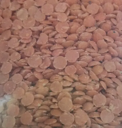 Lentilles corail