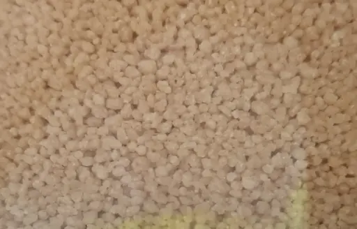 Couscous complet