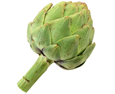 Artichaut